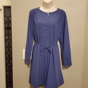 Ann Taylor Loft Long Sleeve Sheath